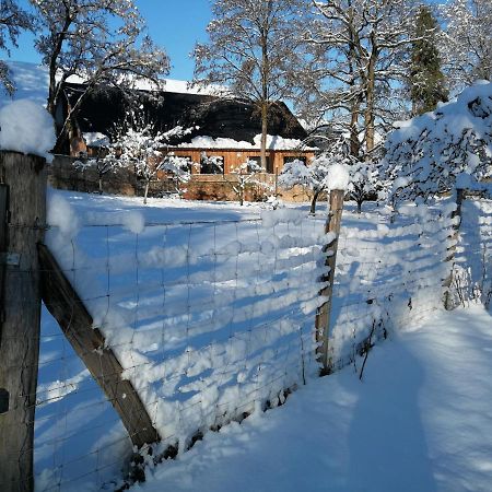 Gite spacieux et cosy à la campagne proche de Strasbourg Achenheim Esterno foto