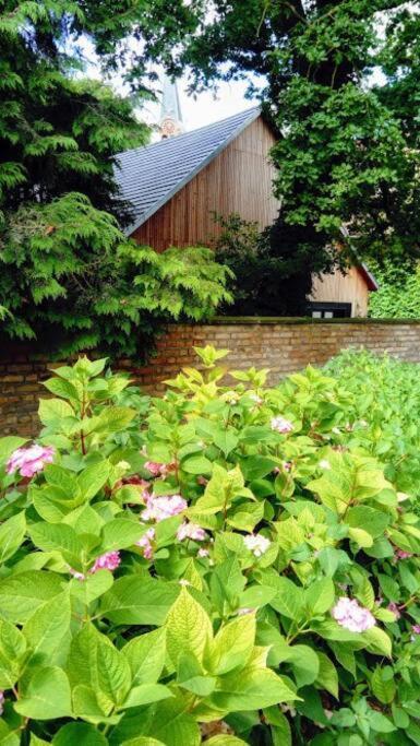Gite spacieux et cosy à la campagne proche de Strasbourg Achenheim Esterno foto