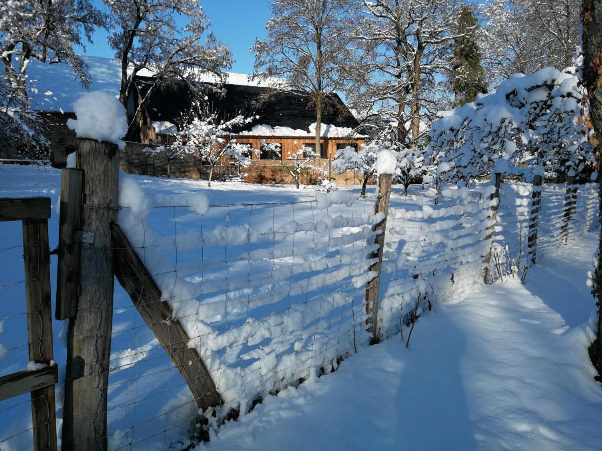Gite spacieux et cosy à la campagne proche de Strasbourg Achenheim Esterno foto