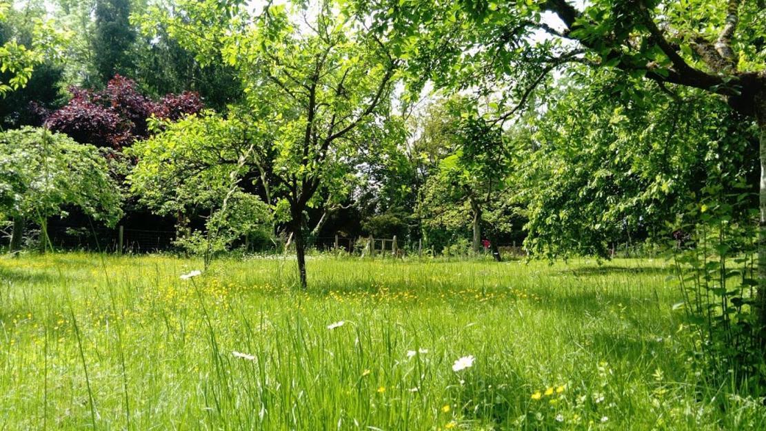 Gite spacieux et cosy à la campagne proche de Strasbourg Achenheim Esterno foto